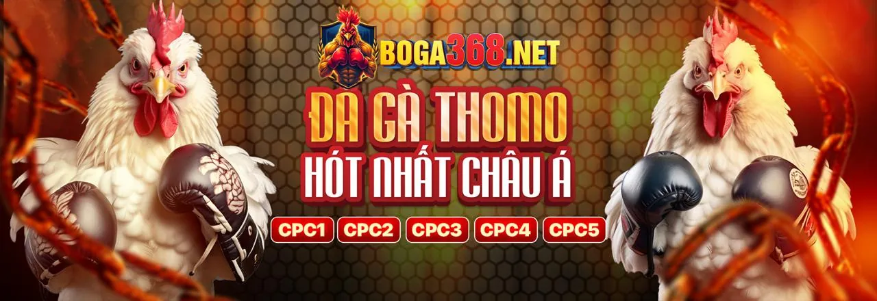 Tầm nhìn tương lai của VTY05 Link Vào