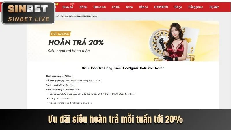 Cá cược thể thao đa dạng tại VTY05